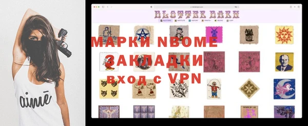 сатива Аркадак