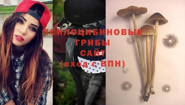 дмт Арсеньев