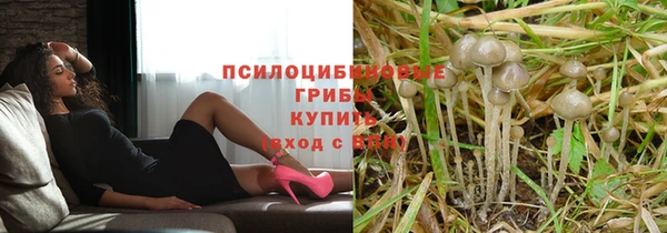 сатива Аркадак
