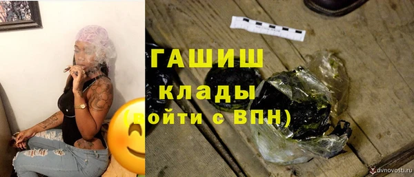 сатива Аркадак
