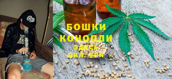 сатива Аркадак